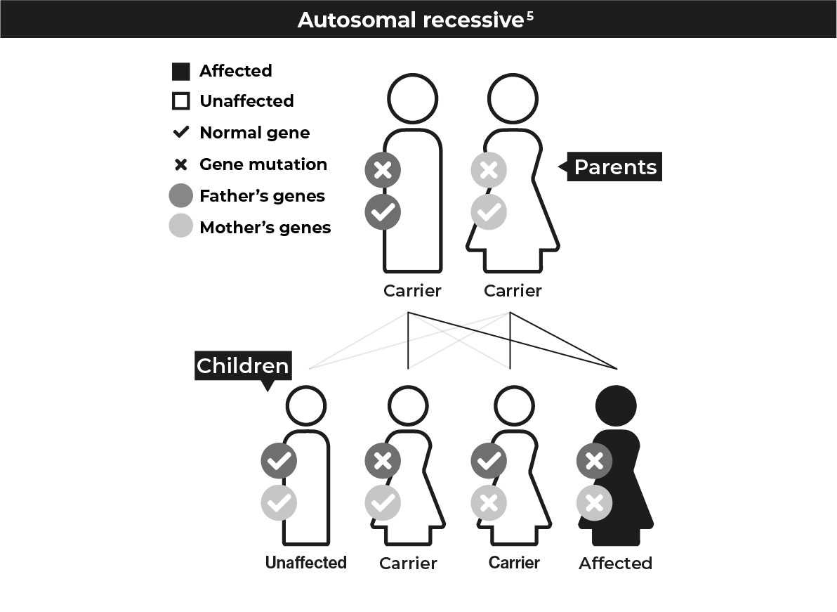 A diagram showing how autosomal recessive mutations are inherited. Two parents are carriers of the mutation, each with one affected gene have four children: one has no mutated gene, two are carriers and have one copy of the mutation, and one has two copies of the mutation and is affected by the disease.