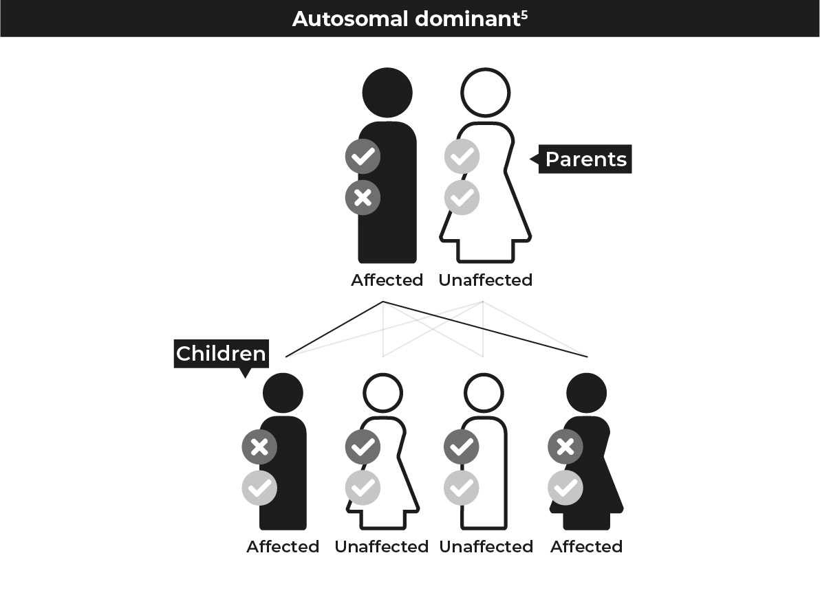 A diagram showing how autosomal dominant mutations are inherited. One parent is unaffected and has two normal copies of the gene. One parent is affected and has one normal copy of the gene and one mutation. They have four children: two are unaffected and have two normal copies of the gene; two are affected and have one normal copy and one gene mutation.